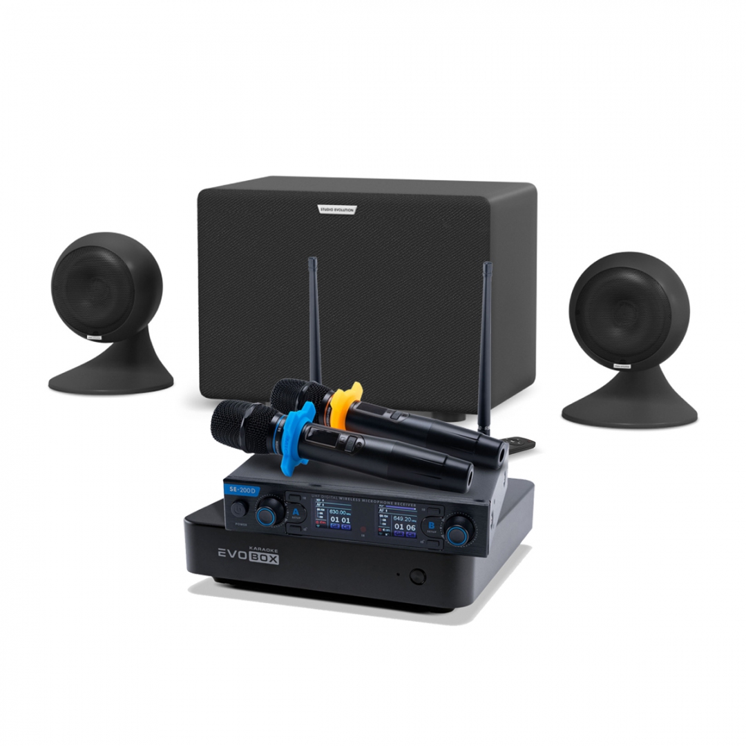 караоке-комплект EVOBOX + EvoSound Sphere 2.1 в Ряжске