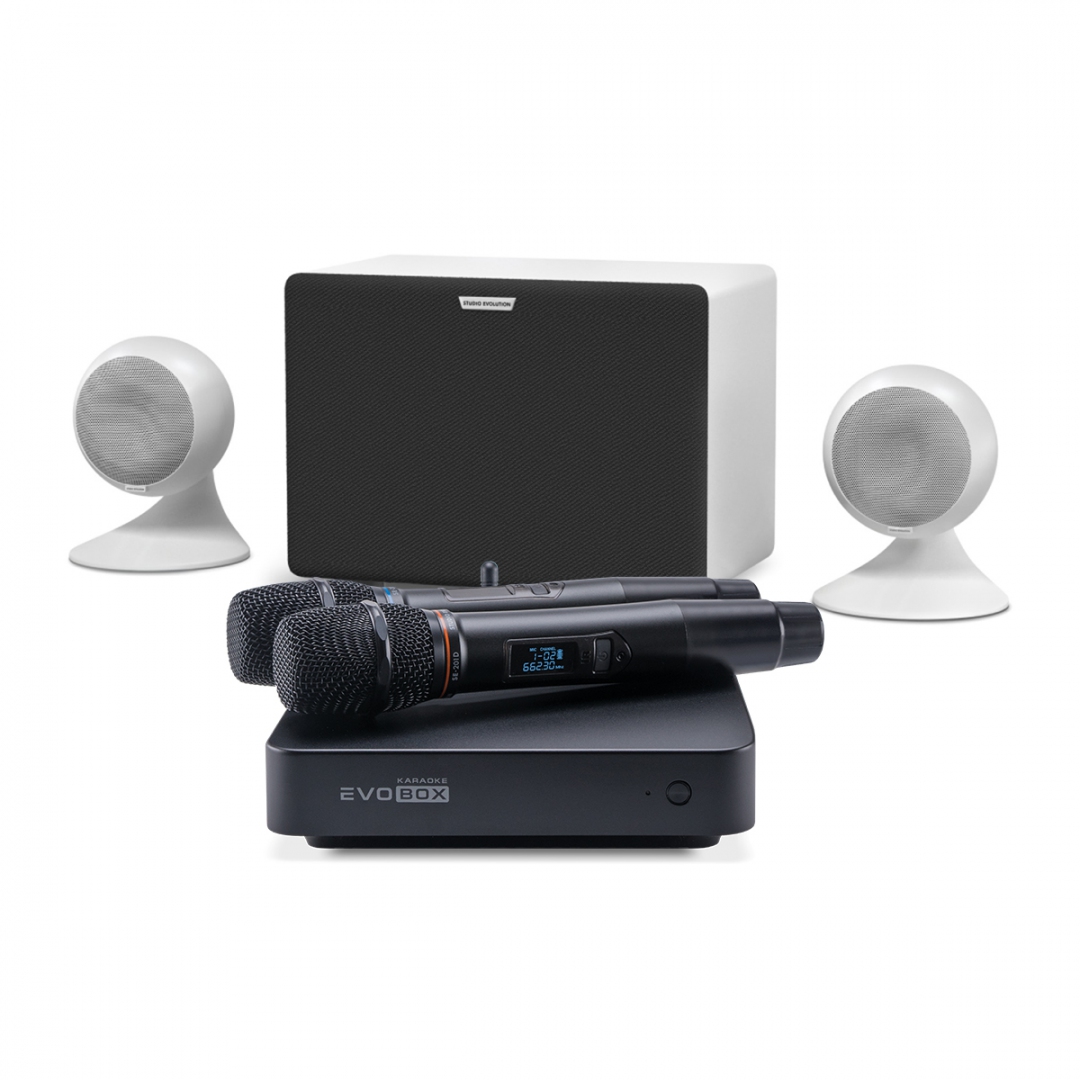 караоке-комплект EVOBOX Classic + EvoSound Sphere 2.1 в Ряжске