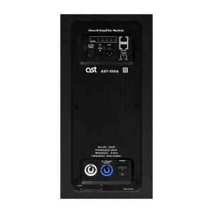 Активная акустическая система AST-310A в Ряжске