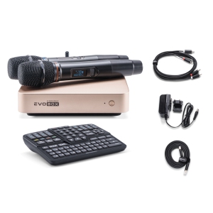 EVOBOX Classic караоке-система для дома в Ряжске