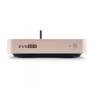 EVOBOX Plus караоке-система для дома в Ряжске