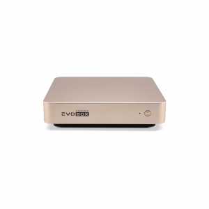 EVOBOX с микрофонами в Ряжске