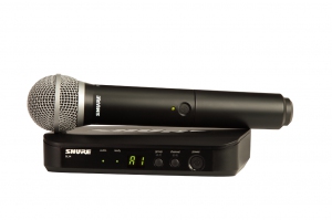 SHURE BLX24E/PG58 M17 вокальная радиосистема в Ряжске